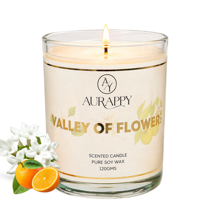 Aurappy Valley of Flowers soy wax scented candle 150g – wildflower floral fragrance 30 hour burn India