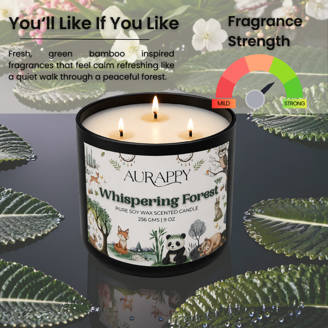 Aurappy Whispering Forest candle ideal for – meditation yoga relaxation home India